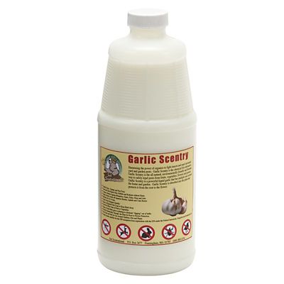 Just Scentsational 32 oz. Garlic Scentry Repellent Concentrate