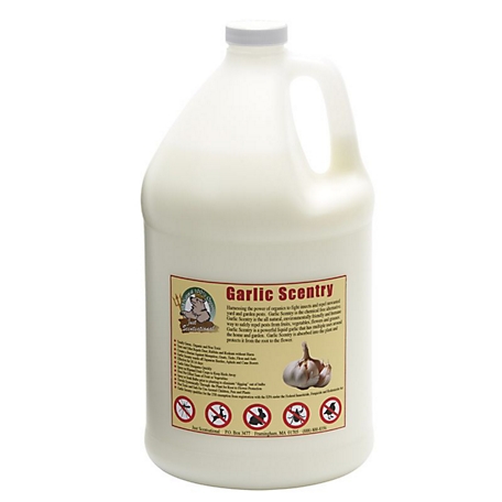 Just Scentsational 1 gal. Garlic Scentry Repellent Concentrate