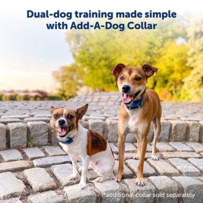 Image showing  300 yd. Remote Dog Training Collar