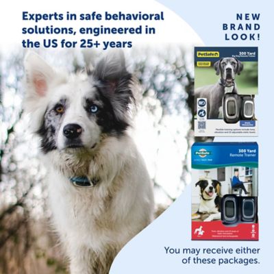 Image showing 5 th PetSafe 300 yd. Remote Dog Training Collar