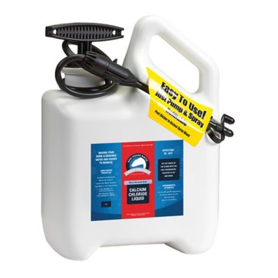 Image showing  1 gal. 45 PSI Pump Sprayer