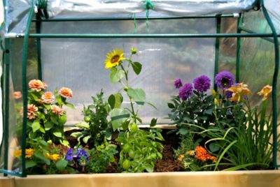 Image showing  4 ft. x 3 ft. Raise Garden Table Enclosure