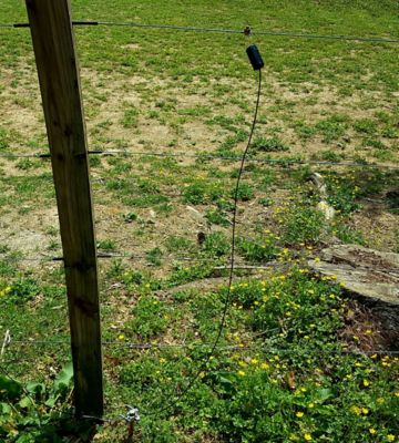 Image showing  Fence Charger Lightning Diverter