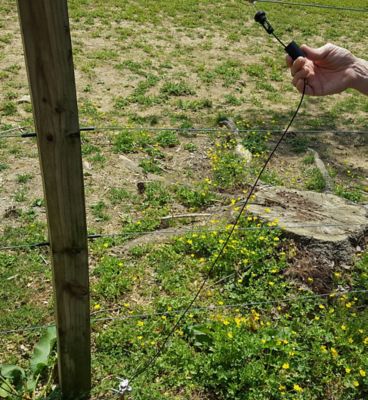 Image showing  Fence Charger Lightning Diverter