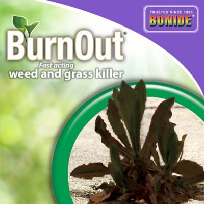 Image showing  2.5 gal. BurnOut Fast-Acting Weed and Grass Killer Concentrate
