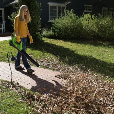 Image showing  2 pc. 40V String Trimmer and Axial Blower with 2Ah Battery and Charger