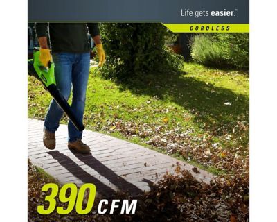 Image showing  2 pc. 40V String Trimmer and Axial Blower with 2Ah Battery and Charger