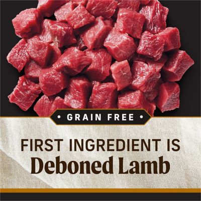 Image showing  Backcountry Adult Raw Infused Grain-Free Big Game Recipe Dry Dog Food