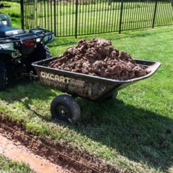 OxCart Dump Carts