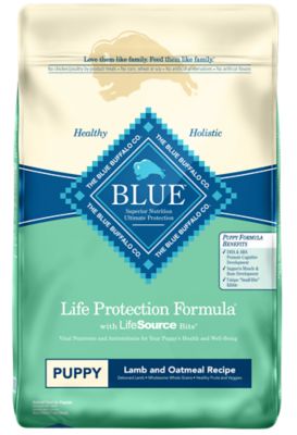 Blue Buffalo Life Protection Puppy Lamb and Oatmeal Recipe Dry Dog Food Typically I feel him only salmon dry dog food but I was turned onto this once I realized he goes beserk for it