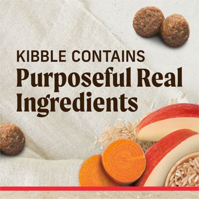 Image showing 6 th Merrick Classic Beef & Brown Rice Recipe with Ancient Grains Dry Dog Food