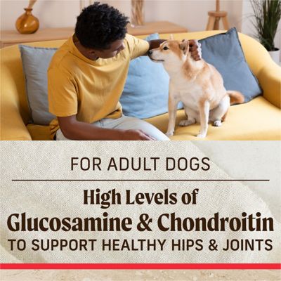 Image showing 7 th Merrick Classic Beef & Brown Rice Recipe with Ancient Grains Dry Dog Food