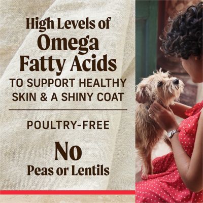 Image showing 8 th Merrick Classic Beef & Brown Rice Recipe with Ancient Grains Dry Dog Food