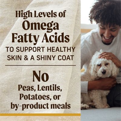 Image showing 8 th Merrick Classic Chicken & Brown Rice Recipe with Ancient Grains Dry Dog Food