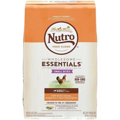 nutro small breed adult