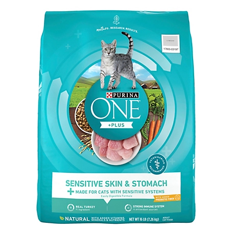 Purina ONE Adult Sensitive Skin and Stomach Natural Turkey Recipe Dry Cat Food