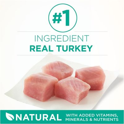 Image showing  Adult Indoor/Outdoor Sensitive Skin and Stomach Natural Turkey Recipe Dry Cat Food