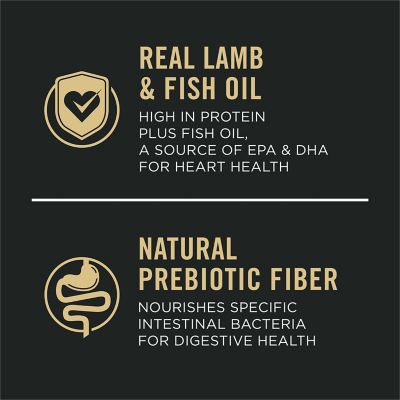 Image showing  Focus Sensitive Skin & Stomach Formula Lamb & Oat Meal Formula Dry Dog Food