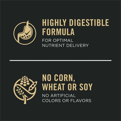 Image showing 6 th Purina Pro Plan Focus Sensitive Skin & Stomach Formula Lamb & Oat Meal Formula Dry Dog Food