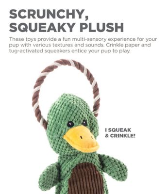 Image showing  Charming Pet Scrunch Bunch Duck Dog Toy
