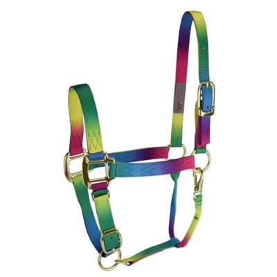 DuMOR Nylon Premium Horse Halter, Rainbow, Medium