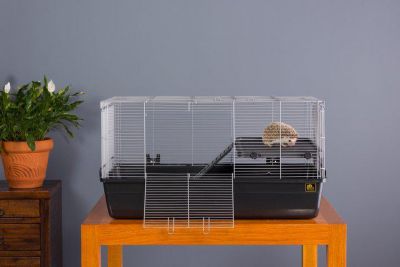 Image showing 5 th Prevue Pet Products Universal Small Animal Home, 32.5 x 19 in., Dark Gray