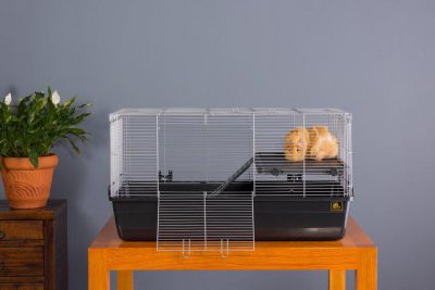 Image showing 6 th Prevue Pet Products Universal Small Animal Home, 32.5 x 19 in., Dark Gray