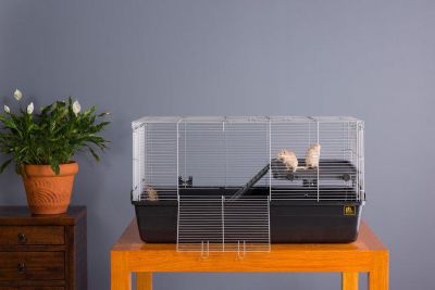 Image showing 8 th Prevue Pet Products Universal Small Animal Home, 32.5 x 19 in., Dark Gray