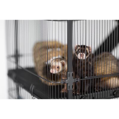 Image showing 10 th Prevue Pet Products Deluxe Small Animal Cage, 37 in. x 23.13 in.