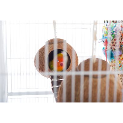 Image showing  Naturals Double Coconut Walk for Small Animals and Birds