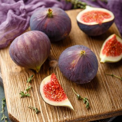 Image showing  2.25 gal. Potted LSU Purple Fig Tree