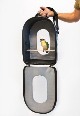 Image showing 6 th Prevue Pet Products Soft Sided Bird Travel Carrier with Perch, Medium
