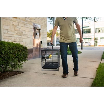 Image showing  Steel Travel Bird Carrier