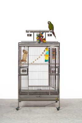 Image showing 7 th Prevue Pet Products Stainless Steel Playtop Bird Cage