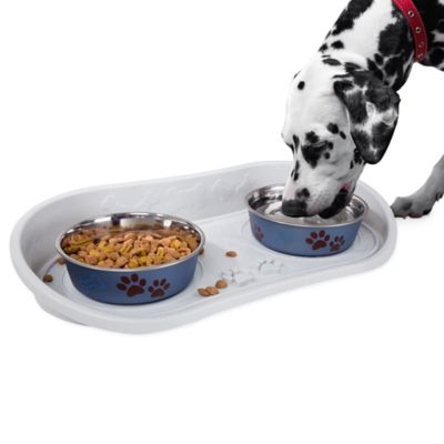 dog food and water bowl