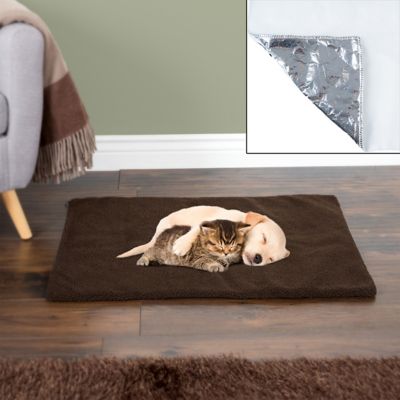 thermal dog bed