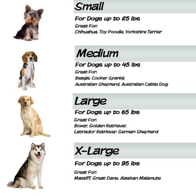 Image showing  Foam Mattress Pet Bed