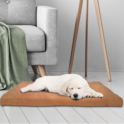 Image showing  Foam Mattress Pet Bed