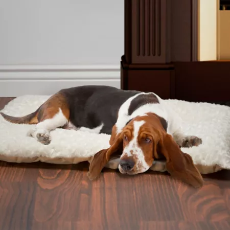 PETMAKER Sumptuous Plush Pet Cushion Floor Pads