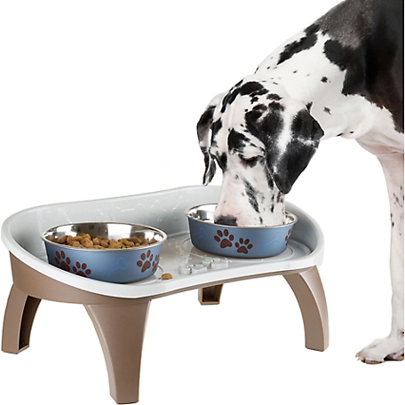PETMAKER Elevated Non-Skid Plastic Pet Feeding Tray with Splash Guard, 21 in. x 11 in. x 8.5 in., 2-Bowls