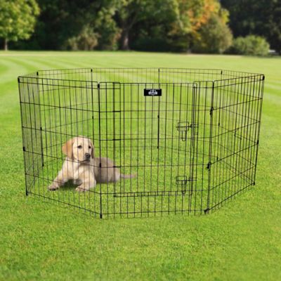 Image showing  58 in. Pet Exercise Play Pen