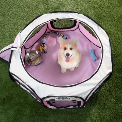 Image showing  Indoor/Outdoor Portable Pop-Up Pet Play Pen with Carrying Bag