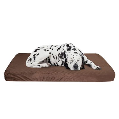 Go pet club solid memory foam orthopedic pet bed hotsell