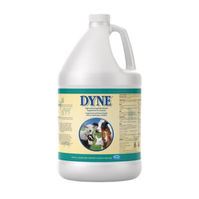 PetAg Dyne Livestock, high calorie low volume liquid nutritional supplement, 1 gal.
