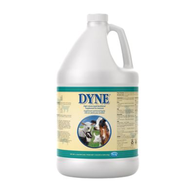 PetAg Dyne High Calorie Liquid Nutritional Supplement for Livestock, 1 gal.