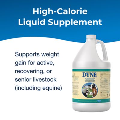 Image showing  Dyne High Calorie Liquid Nutritional Supplement for Livestock, 1 gal.