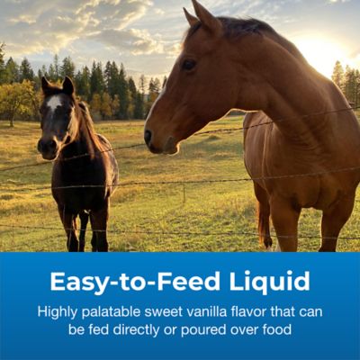 Image showing  Dyne High Calorie Liquid Nutritional Supplement for Livestock, 1 gal.