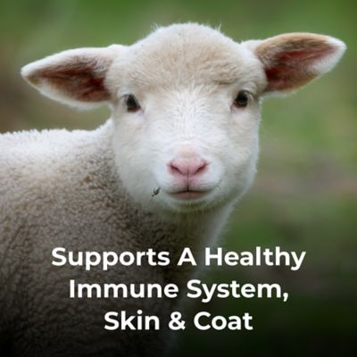 Image showing  Dyne High Calorie Liquid Nutritional Supplement for Livestock, 1 gal.