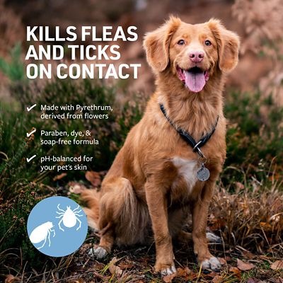 Image showing  Flea and Tick Animal Shampoo, 16 oz.