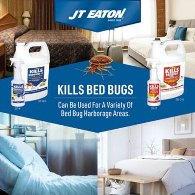 Image showing  1 gal. Kills Bed Bugs Killer Spray